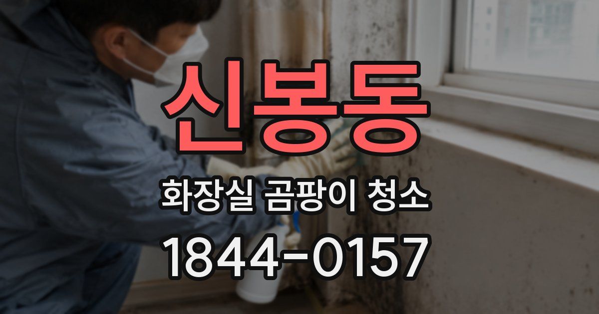 신봉동 화장실 곰팡이 청소