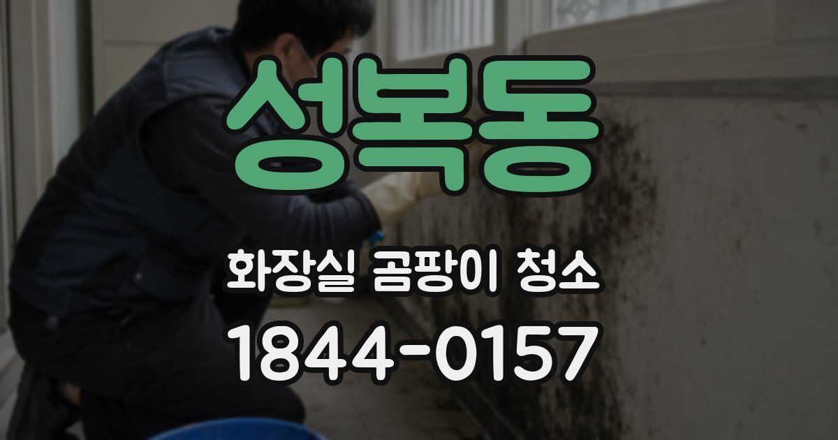 성복동 화장실 곰팡이 청소