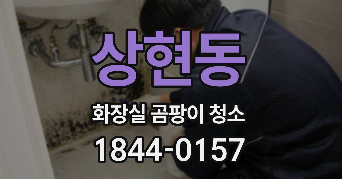 상현동 화장실 곰팡이 청소