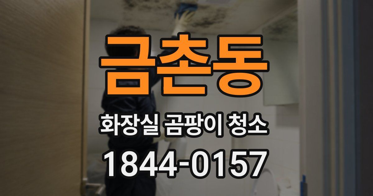 금촌동 화장실 곰팡이 청소