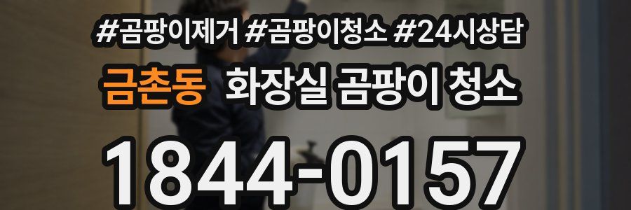 금촌동 화장실 곰팡이 청소