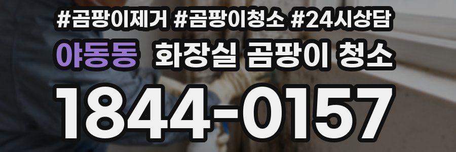 야동동 화장실 곰팡이 청소
