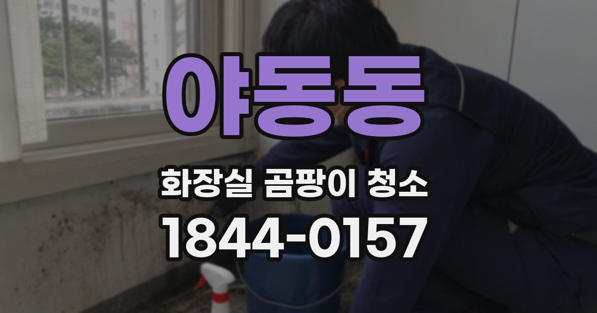 야동동 화장실 곰팡이 청소