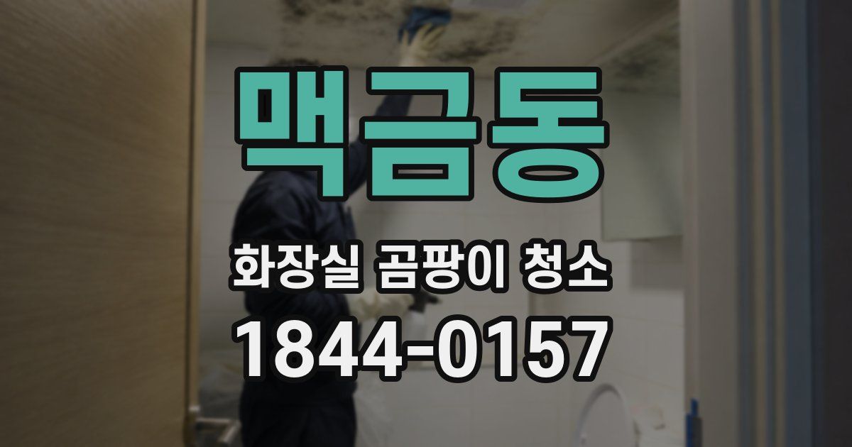 맥금동 화장실 곰팡이 청소