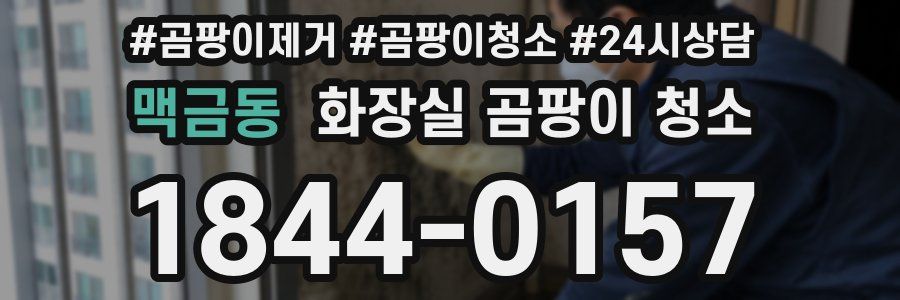 맥금동 화장실 곰팡이 청소