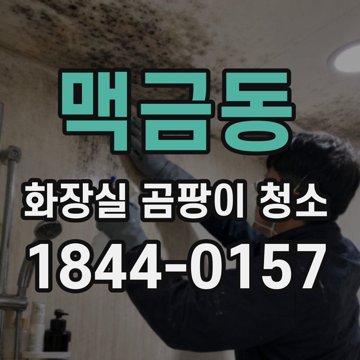 맥금동 화장실 곰팡이 청소