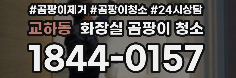 교하동 화장실 곰팡이 청소