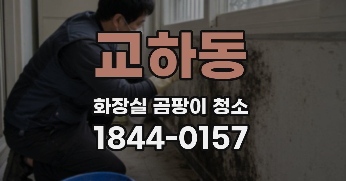 교하동 화장실 곰팡이 청소