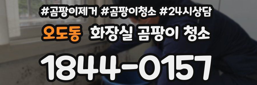오도동 화장실 곰팡이 청소