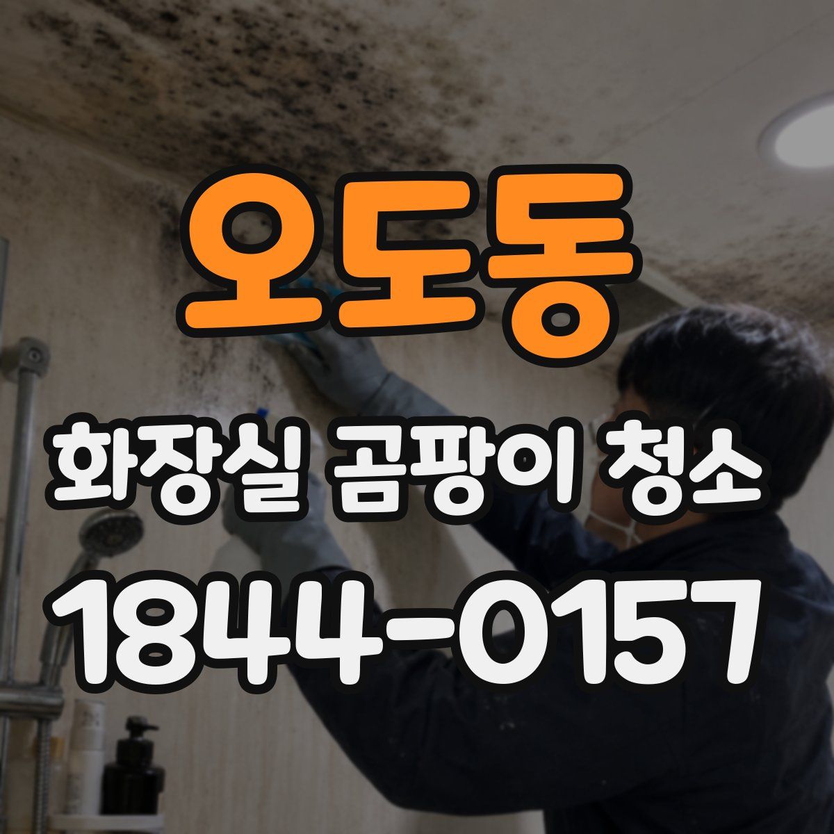 오도동 화장실 곰팡이 청소