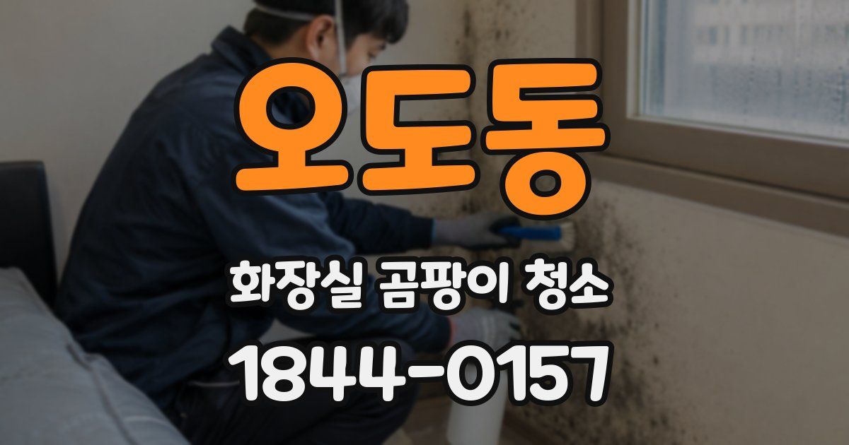 오도동 화장실 곰팡이 청소