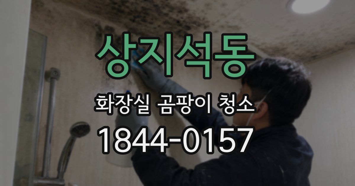 상지석동 화장실 곰팡이 청소