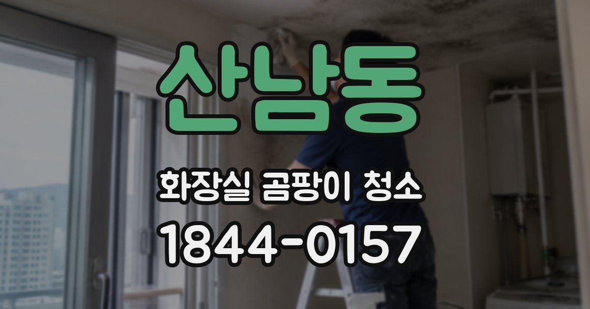 산남동 화장실 곰팡이 청소
