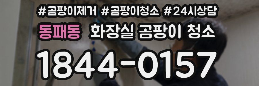 동패동 화장실 곰팡이 청소
