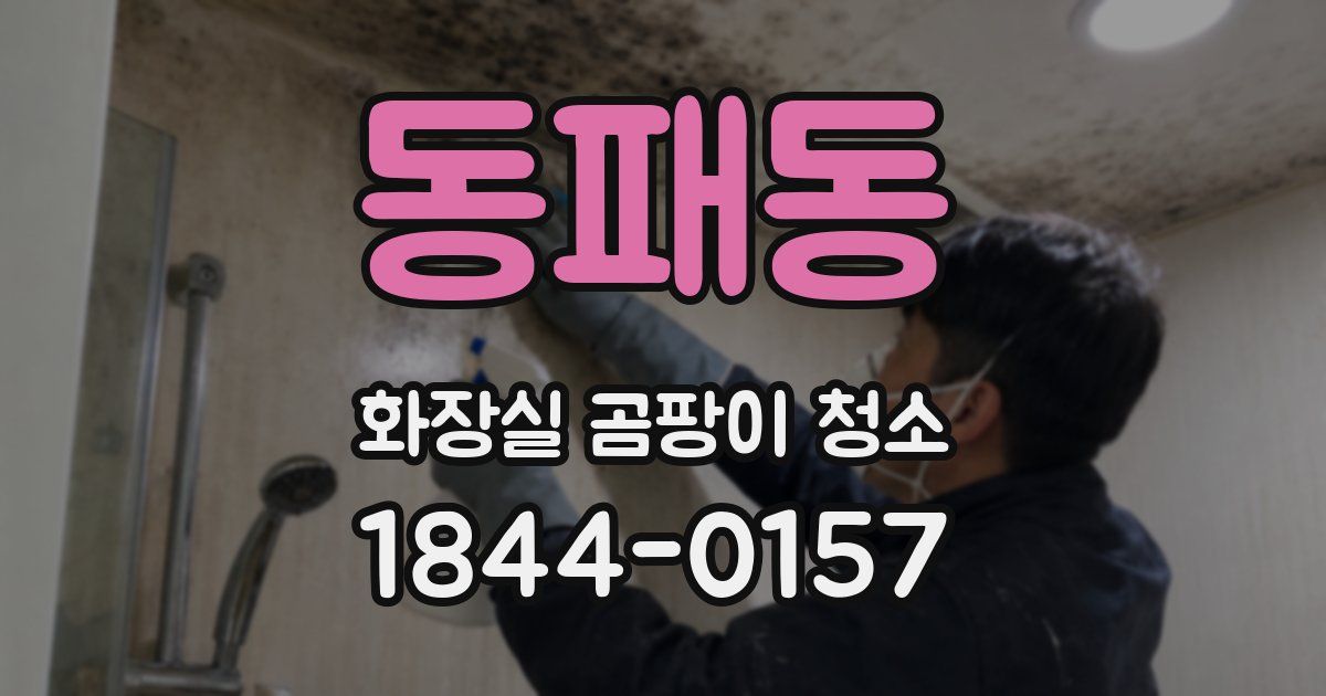 동패동 화장실 곰팡이 청소