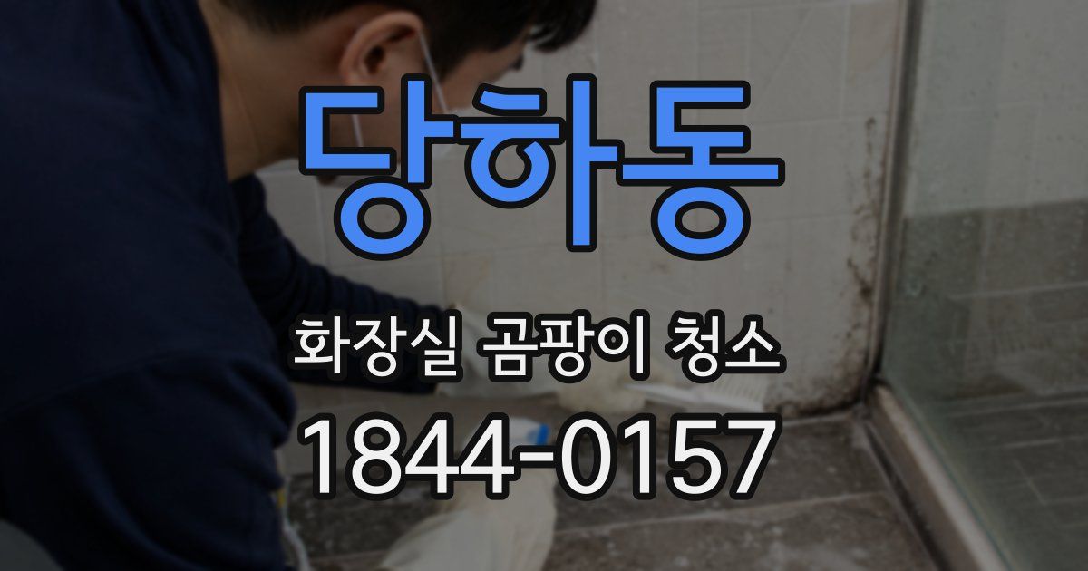 당하동 화장실 곰팡이 청소