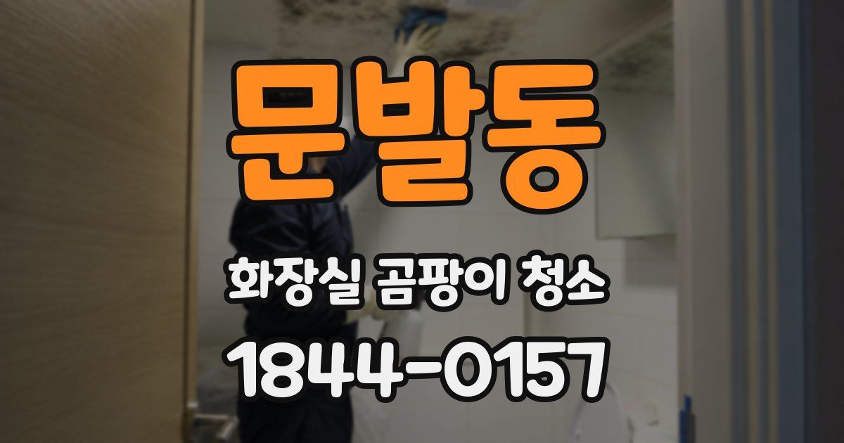 문발동 화장실 곰팡이 청소
