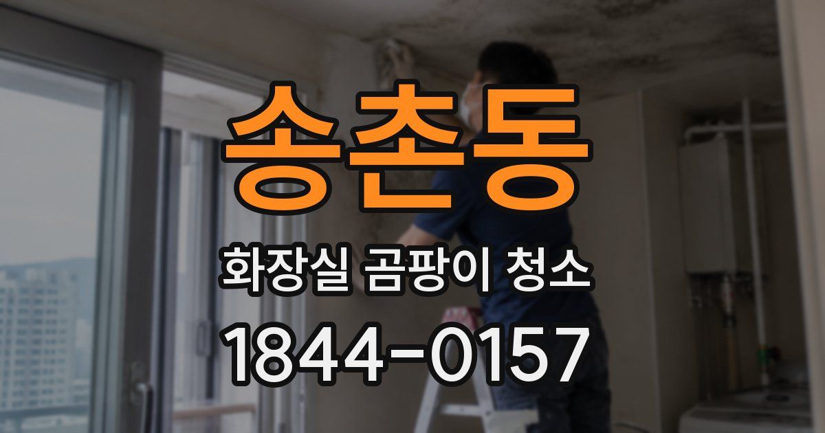 송촌동 화장실 곰팡이 청소