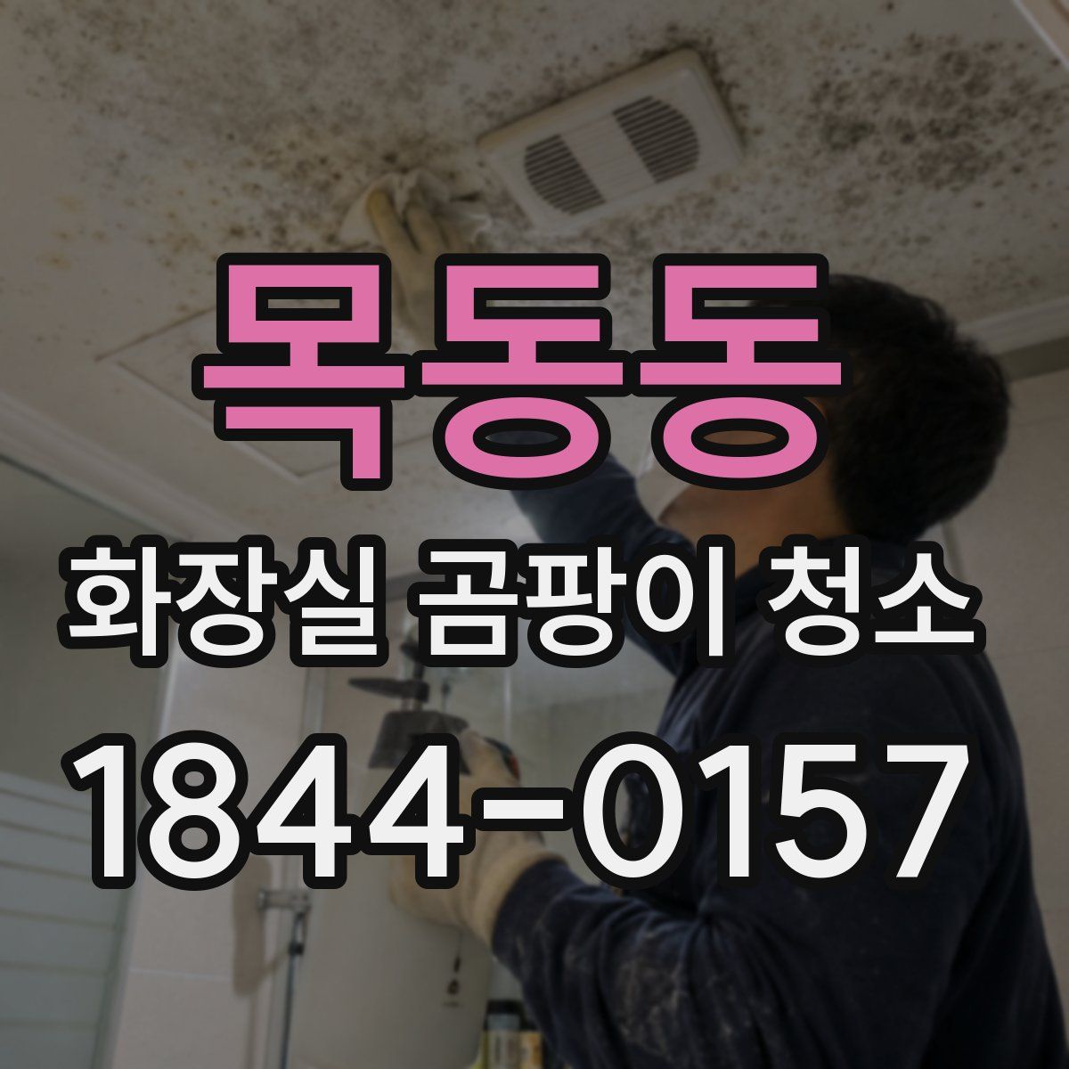 목동동 화장실 곰팡이 청소