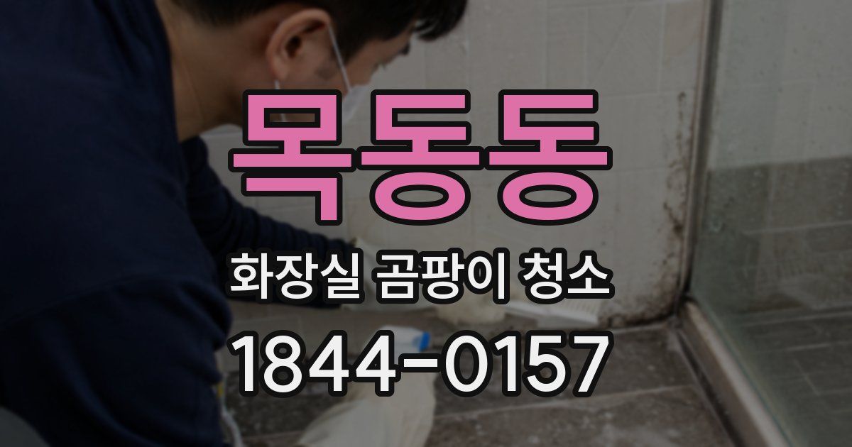 목동동 화장실 곰팡이 청소