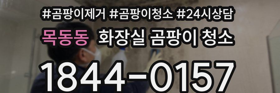 목동동 화장실 곰팡이 청소