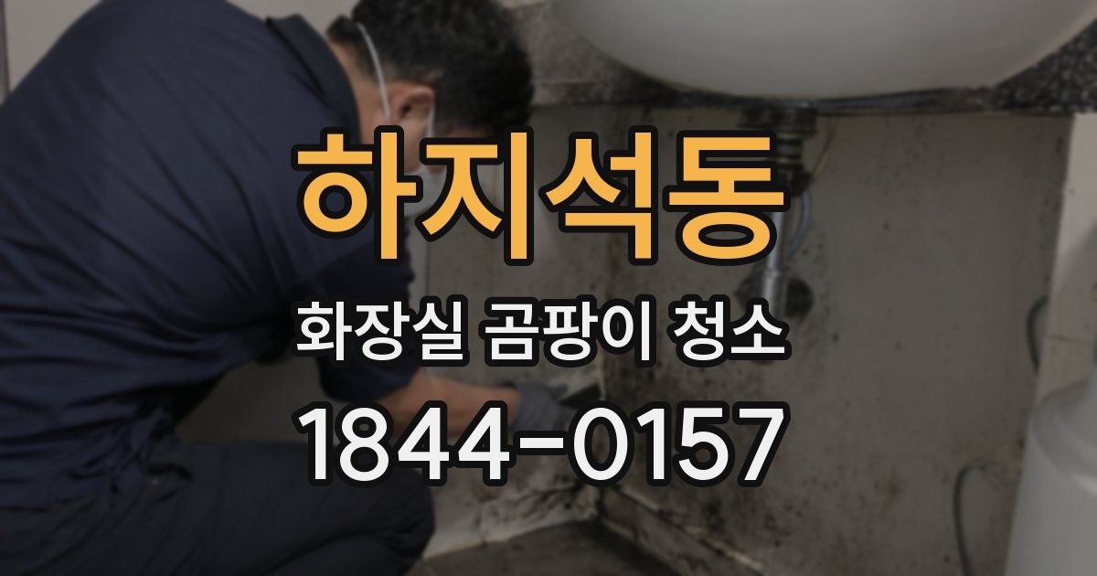 하지석동 화장실 곰팡이 청소