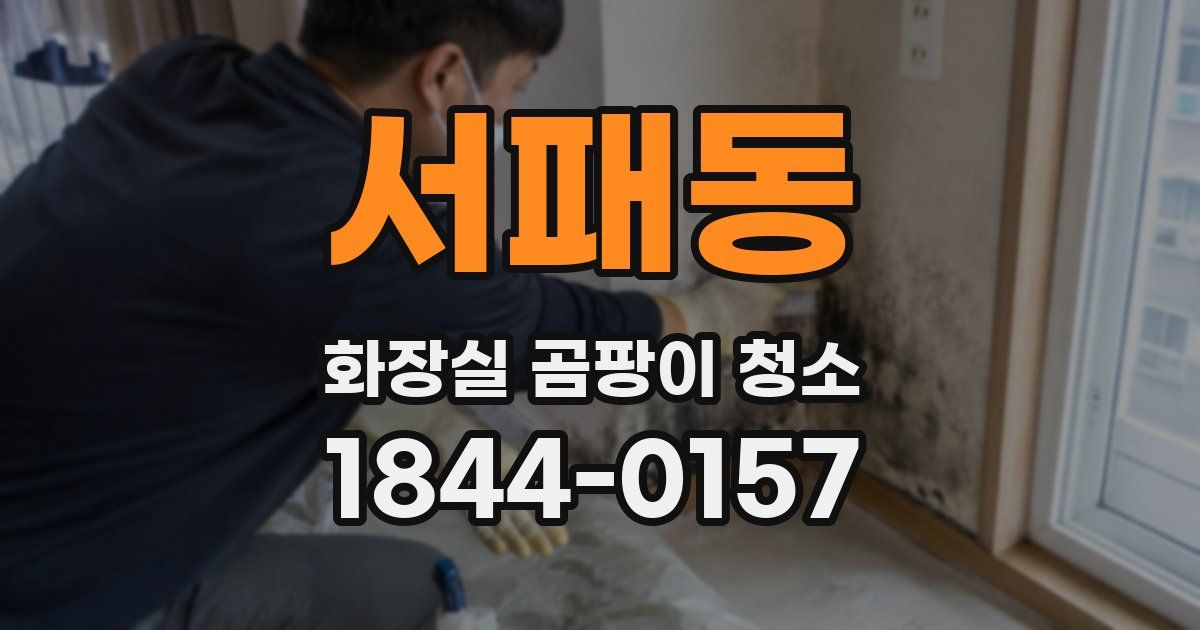 서패동 화장실 곰팡이 청소