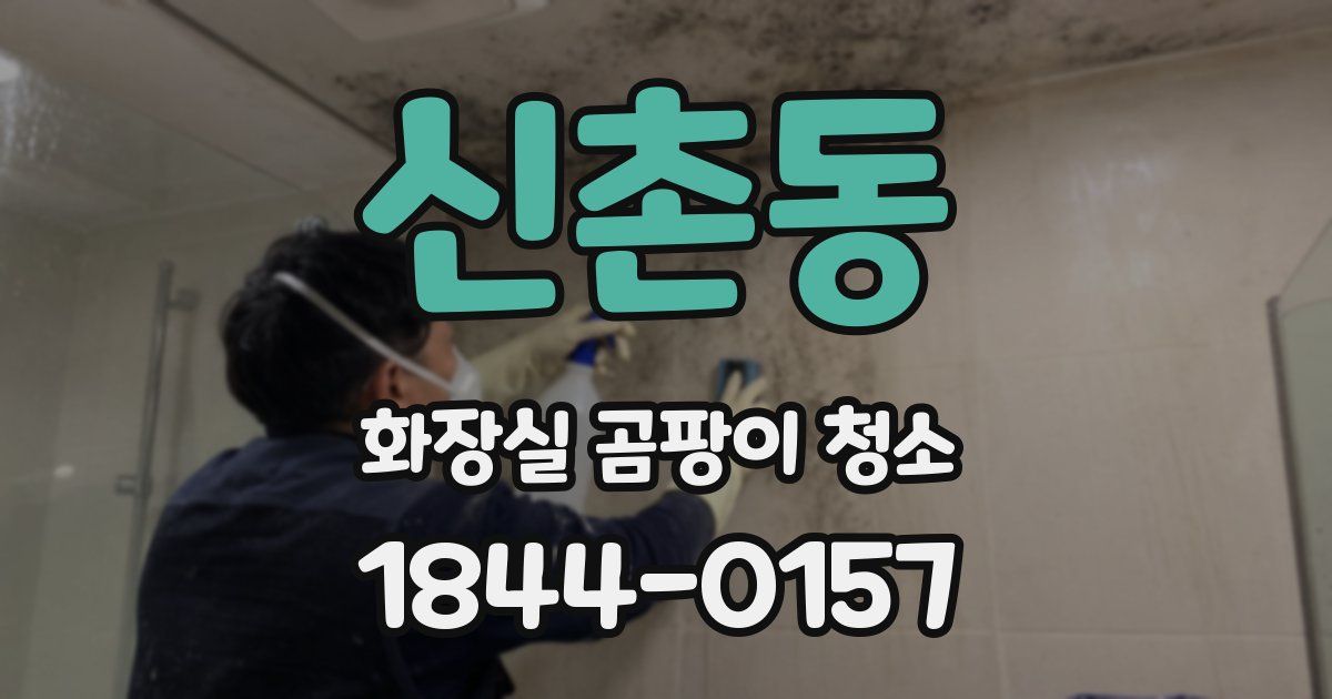 신촌동 화장실 곰팡이 청소