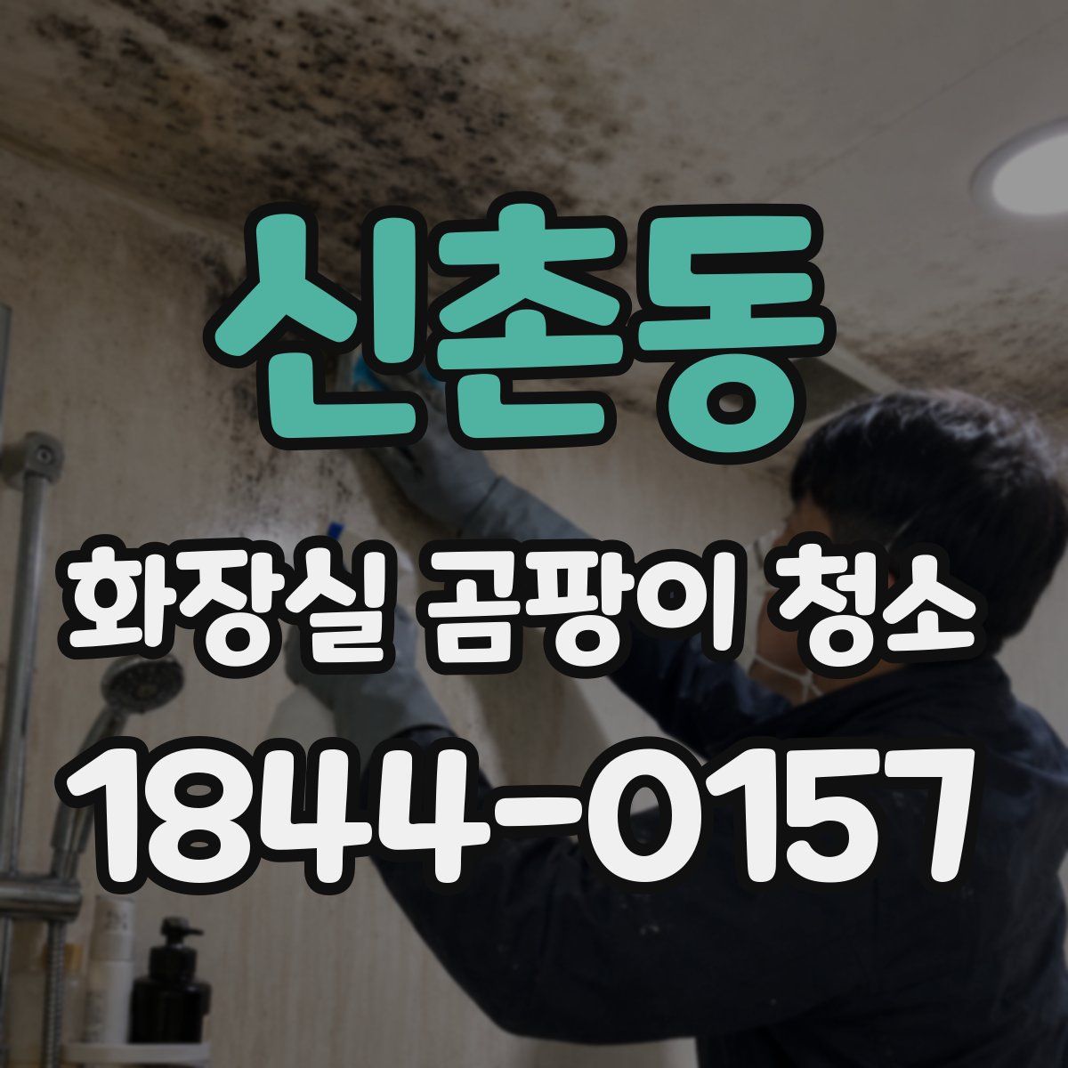 신촌동 화장실 곰팡이 청소