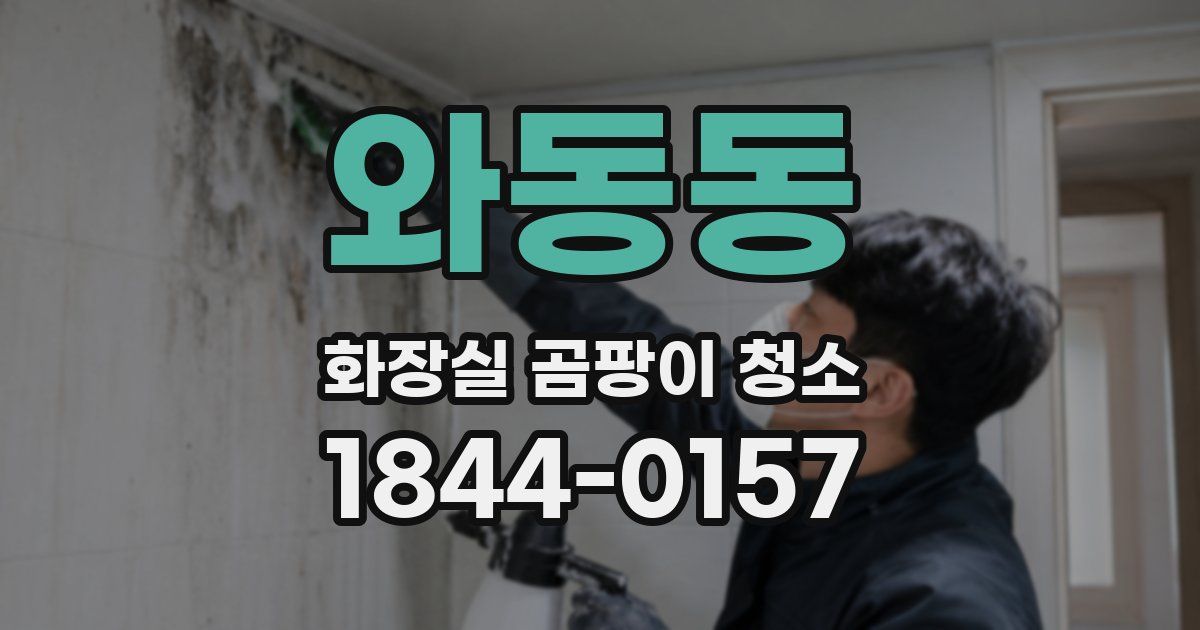 와동동 화장실 곰팡이 청소