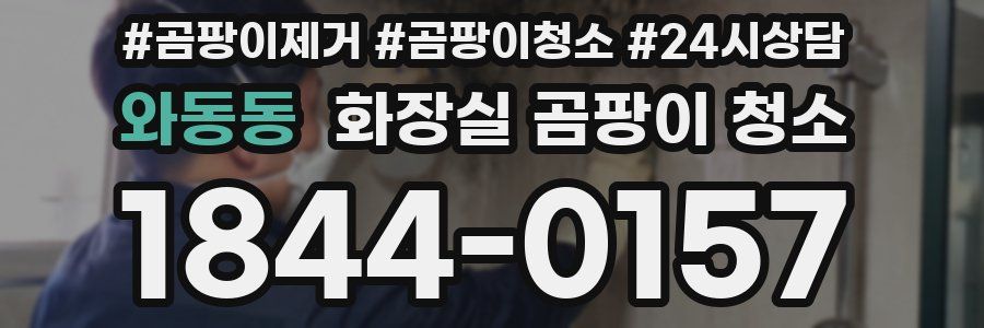 와동동 화장실 곰팡이 청소