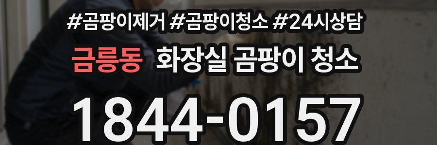 금릉동 화장실 곰팡이 청소