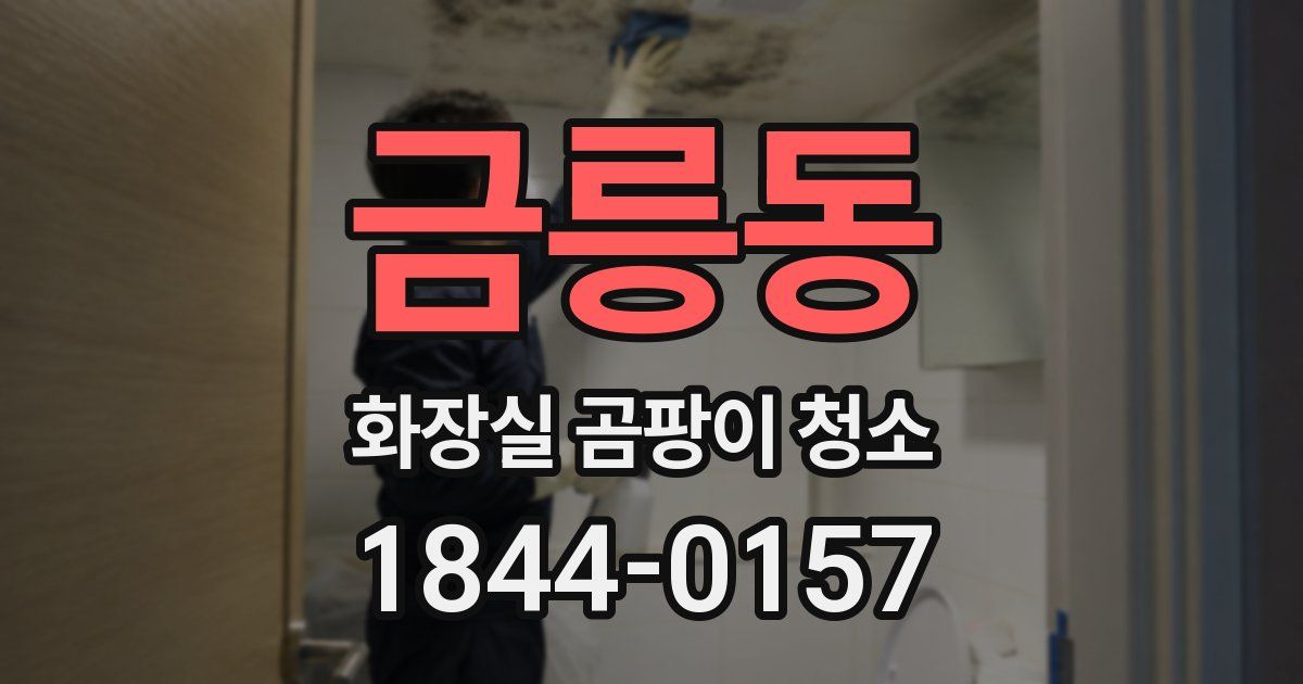 금릉동 화장실 곰팡이 청소