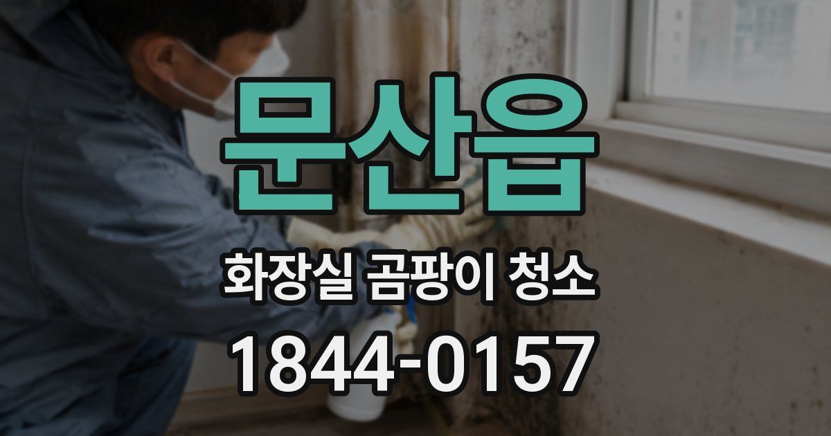 문산읍 화장실 곰팡이 청소