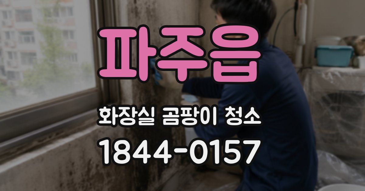 파주읍 화장실 곰팡이 청소