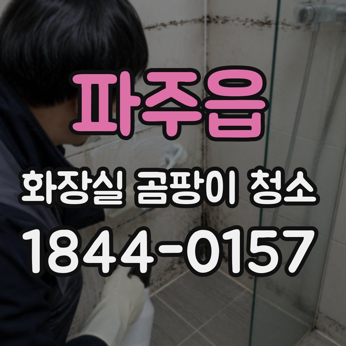파주읍 화장실 곰팡이 청소