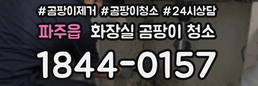 파주읍 화장실 곰팡이 청소