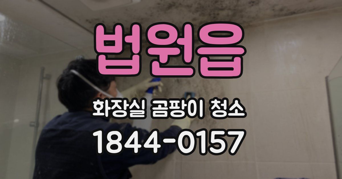 법원읍 화장실 곰팡이 청소