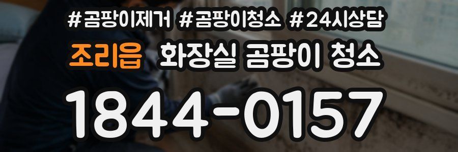 조리읍 화장실 곰팡이 청소