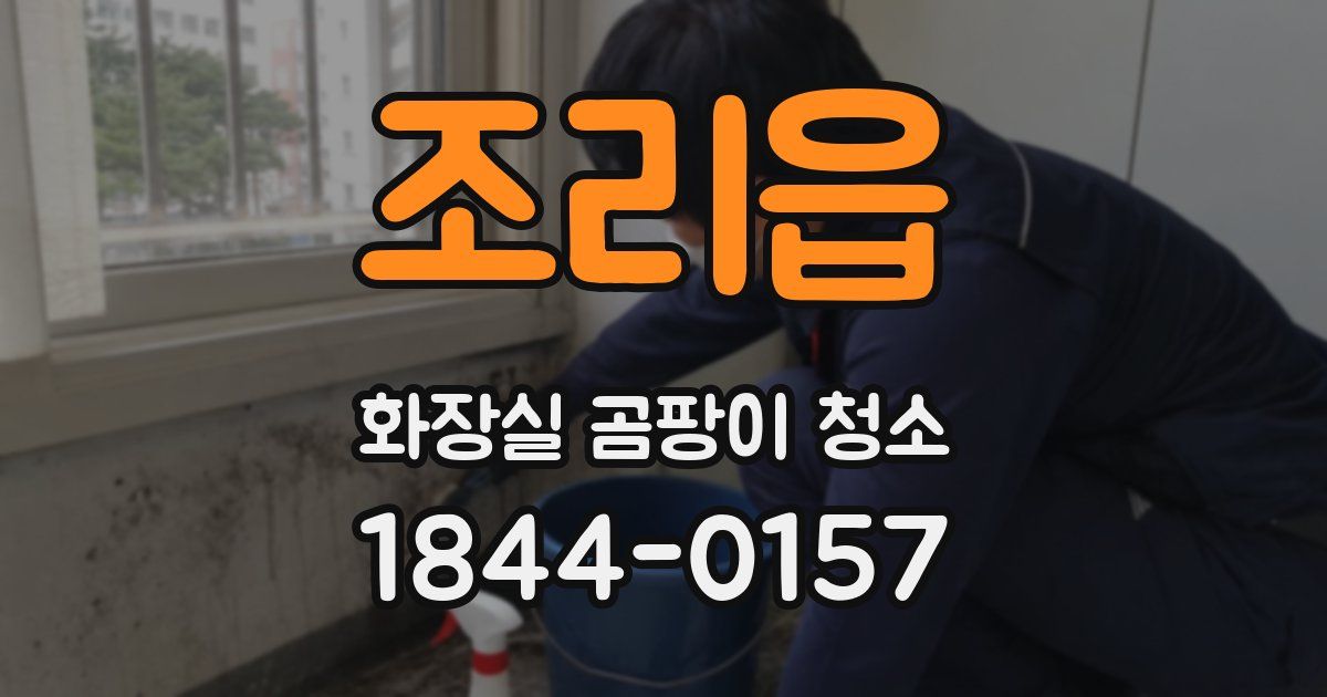 조리읍 화장실 곰팡이 청소