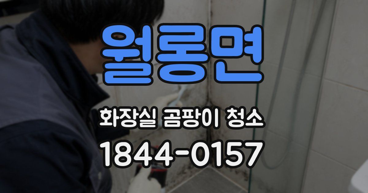 월롱면 화장실 곰팡이 청소