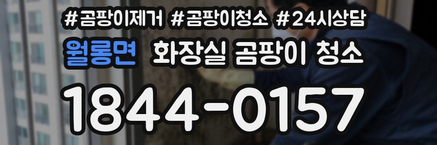 월롱면 화장실 곰팡이 청소