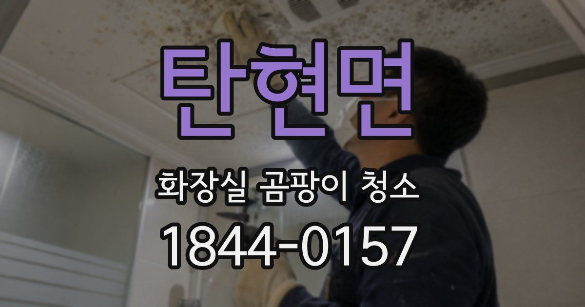탄현면 화장실 곰팡이 청소