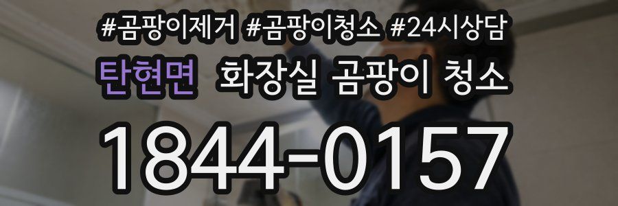 탄현면 화장실 곰팡이 청소