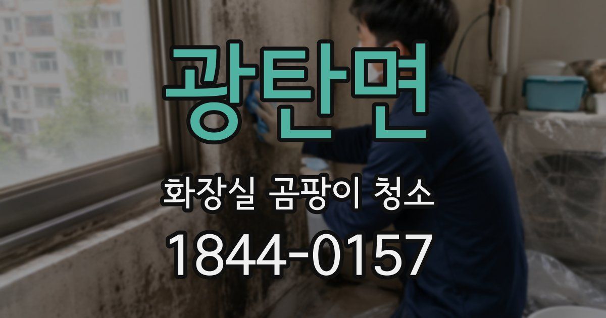광탄면 화장실 곰팡이 청소