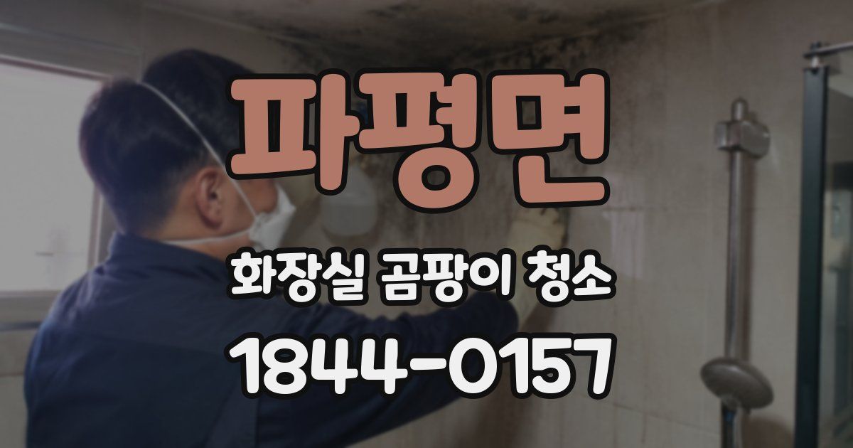 파평면 화장실 곰팡이 청소