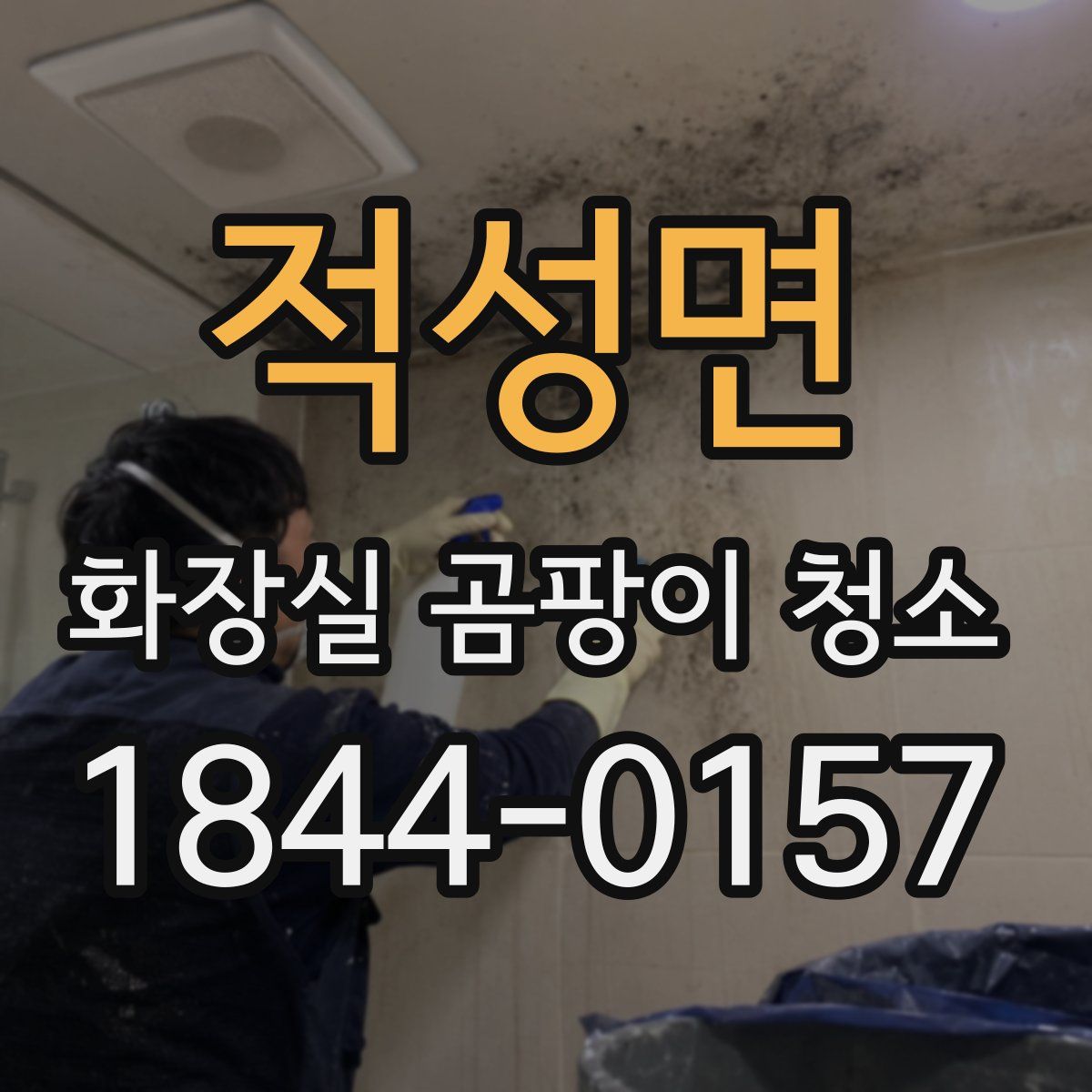 적성면 화장실 곰팡이 청소