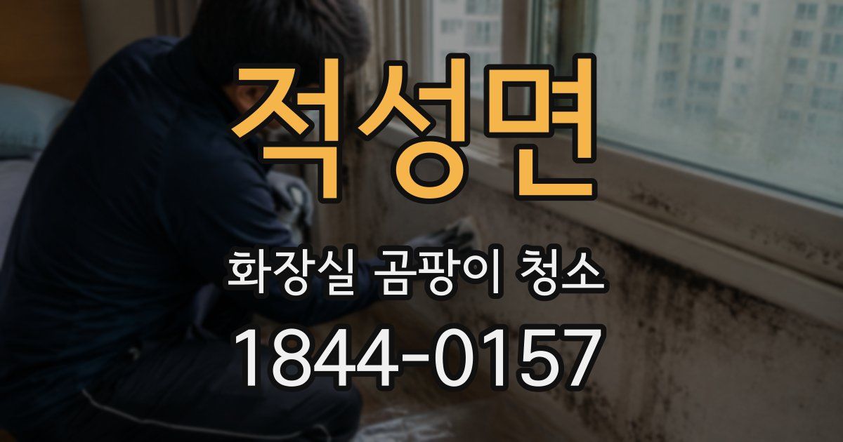 적성면 화장실 곰팡이 청소