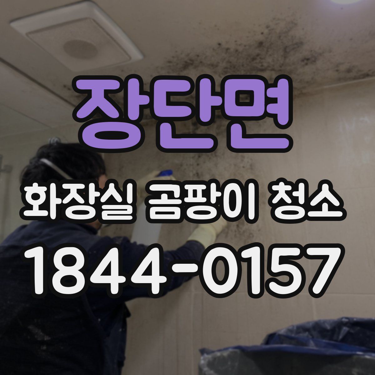 장단면 화장실 곰팡이 청소