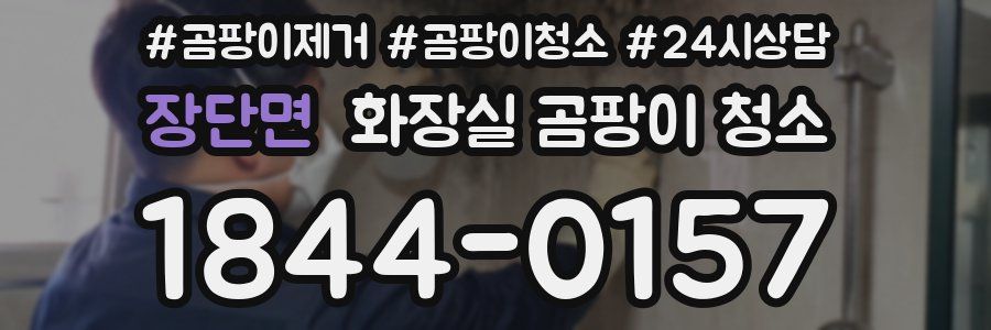 장단면 화장실 곰팡이 청소